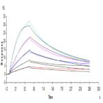 Human GM-CSF R alpha Protein BP004976 Syd Labs