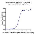 Human GM-CSF R alpha Protein BP005017 Syd Labs