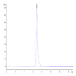 Human GM-CSF R alpha Protein (GSF-HM2RA)