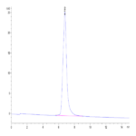 Human HAI-1 Protein BP003224 Syd Labs