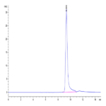 Human Azurocidin/CAP37/AZU1/HBP Protein BP005571 Syd Labs