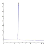 Hepatitis B Virus (HBV) (ayw/France/Tiollais/1979) Capsid Protein BP003287 Syd Labs