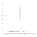 Canine HE4 Protein BP004050 Syd Labs
