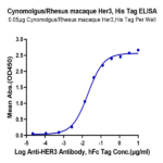 Cynomolgus/Rhesus macaque Her3 Protein BP003905 Syd Labs