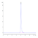 Cynomolgus/Rhesus macaque Her3 Protein (HER-CM403)