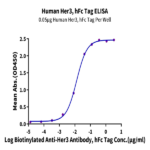 Human Her3/ErbB3 Protein BP005496 Syd Labs