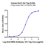 Human Her2/ErbB2 Protein BP005395 Syd Labs