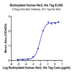 Biotinylated Human Her2/ErbB2 Protein BP005734 Syd Labs