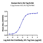 Human Her3/ErbB3 Protein BP005372 Syd Labs