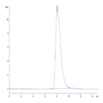 Biotinylated Human Her2/ErbB2 Domain 4 Protein BP003969 Syd Labs