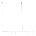 Mouse Her3/ErbB3 Protein BP003399 Syd Labs