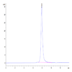 Human HGFA Protein C-His Tag (pro form) BP004773 Syd Labs