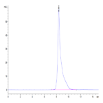 Cynomolgus HLA-G&B2M&Peptide (RIIPRHLQL) Monomer Protein BP004044 Syd Labs