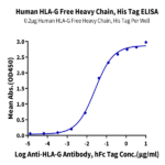 Human HLA-G Free Heavy Chain Protein BP005225 Syd Labs