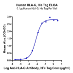 Human HLA-G&B2M&Peptide (RIIPRHLQL) Monomer Protein BP005224 Syd Labs