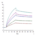 Human HLA-G&B2M&Peptide (RIIPRHLQL) Tetramer Protein BP005222 Syd Labs