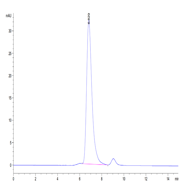 Human HLA-G&B2M&Peptide (RIIPRHLQL) Tetramer Protein (HLG-HM41CT)