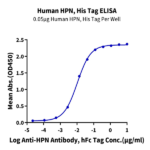 Human HPN Protein BP004816 Syd Labs