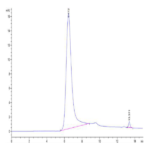Human Hsp27/HSPB1 Protein BP003344 Syd Labs