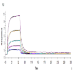 Human HVEM/TNFRSF14 Protein BP005357 Syd Labs