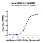 Human HVEM/TNFRSF14 Protein (HVE-HM211)