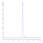 Cynomolgus ICAM-1/CD54 Protein BP003711 Syd Labs