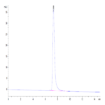 Canine ICAM-1/CD54 Protein BP003383 Syd Labs