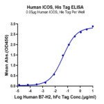 Human ICOS/CD278 Protein BP005014 Syd Labs