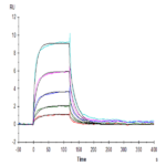 Human ICOS/CD278 (C136S, C137S) Protein BP005519 Syd Labs