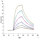 Human ICOS/CD278 (Q50A) Protein BP004124 Syd Labs