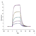 Mouse ICOS/CD278 Protein BP005090 Syd Labs