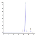 Human IDH1 Protein BP003736 Syd Labs