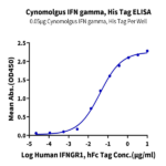 Cynomolgus IFN gamma/IFNG Protein BP003556 Syd Labs