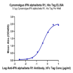 Cynomolgus IFN alpha/beta R1 Protein BP003579 Syd Labs