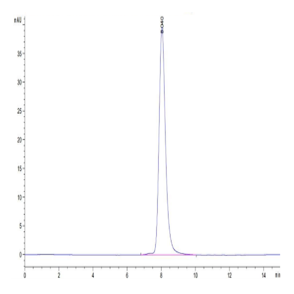 Cynomolgus IFN alpha/beta R1 Protein (IFN-CM1R1)