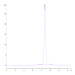 Cynomolgus IFN alpha/beta R2 Protein (IFN-CM1R2)