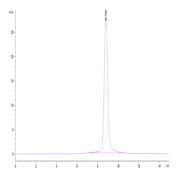 Cynomolgus IFN alpha/beta R2 Protein (IFN-CM1R2)