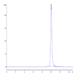 Human Interferon omega-1 Protein BP003238 Syd Labs