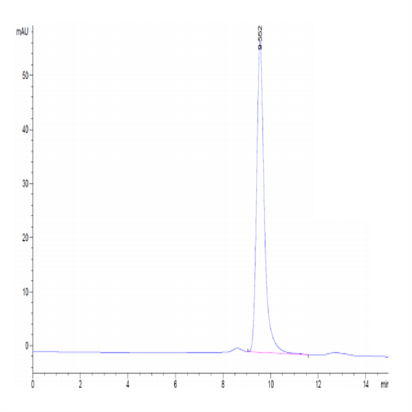 Human IFN alpha 1 Protein (IFN-HM2A1)