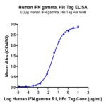 Human IFN gamma/IFNG Protein BP005664 Syd Labs
