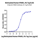 Biotinylated Human IFN alpha/beta R1 Protein BP005683 Syd Labs