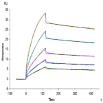 Mouse IFN alpha 1 Protein BP004064 Syd Labs