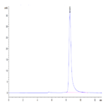 Mouse IgE Protein BP005184 Syd Labs