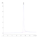 Cynomolgus IGFBP2 Protein BP003677 Syd Labs