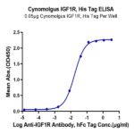 Cynomolgus IGF1R/CD221 Protein BP003568 Syd Labs