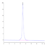 Cynomolgus IGF1R/CD221 Protein (IGF-CM41R)