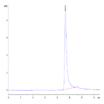 Human IGFBP2 Protein BP004651 Syd Labs