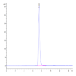 Human IGF2R Protein BP003550 Syd Labs