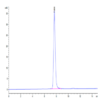 Human IGF2R Domain 1-7 Protein BP003561 Syd Labs