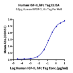 Human IGFII Protein BP003424 Syd Labs